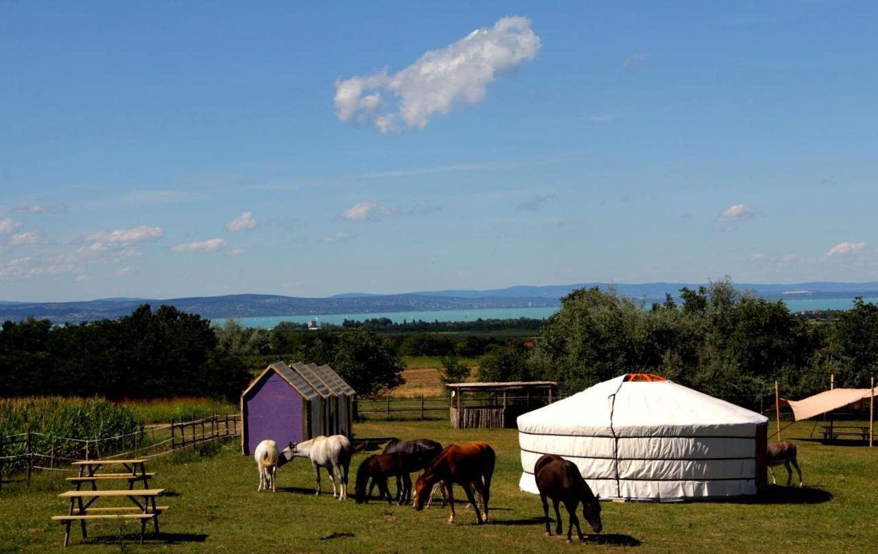 Dharma Horse Shelter Bungalows & Farmping 希欧福克 外观 照片
